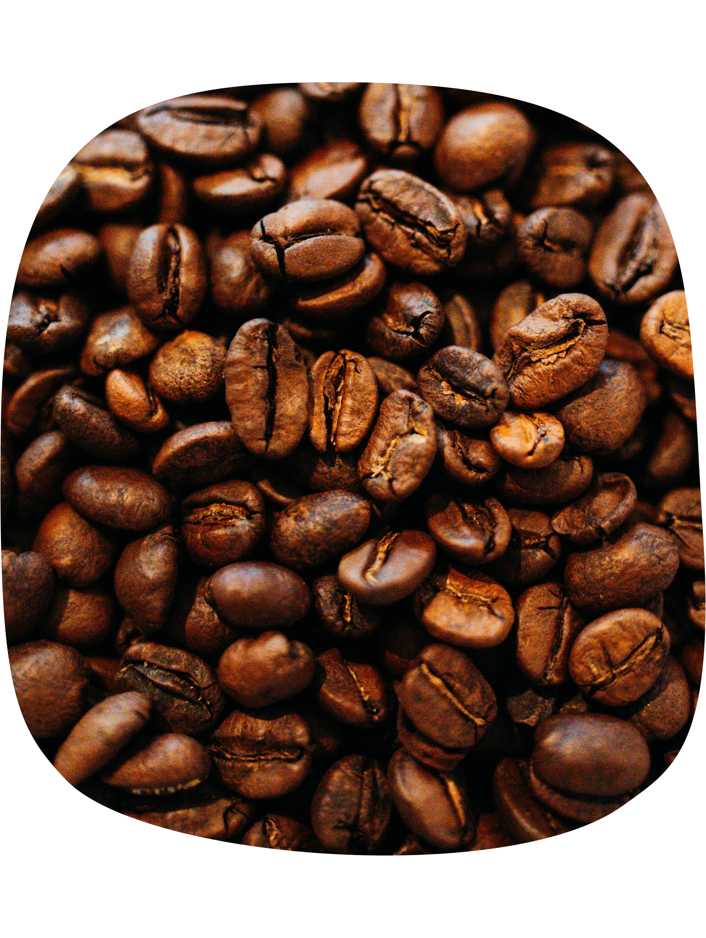 Close Up von Kaffeebohnen